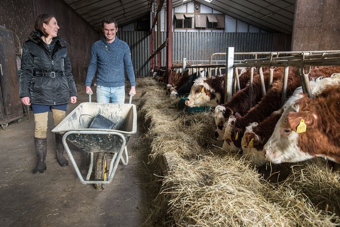 In de stal willen Janine Keller en Paul den Dunnen ’s winters hun zeventig Hereford koeien houden.