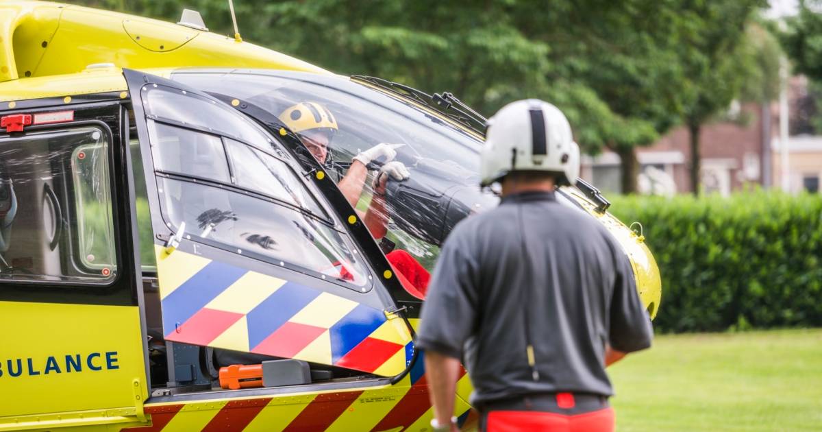 Wesp in cockpit houdt traumaheli aan de grond Eindhoven ed.nl