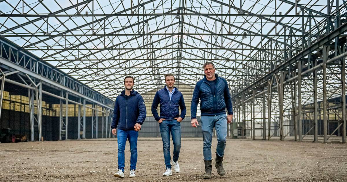 Ambitieus bouwplan maakt Stampersgat twee keer zo groot