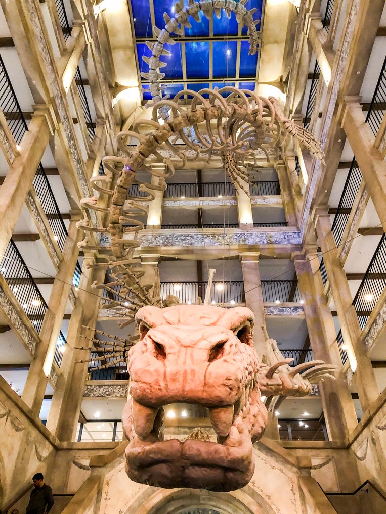 Een zeemonster in de lobby van het Krønasår-hotel.  Beeld Aaf Brandt Corstius