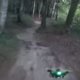 Dronerace in het bos (filmpje)
