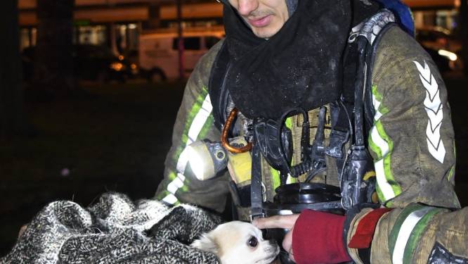 Brandweer redt hondje en twee konijntjes uit woningbrand