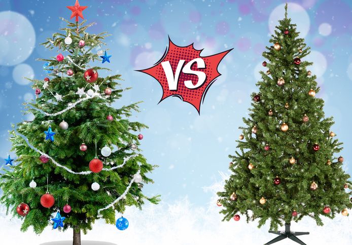 Welke is het beste voor het een echte kerstboom nep-kerstboom? | Binnenland | pzc.nl