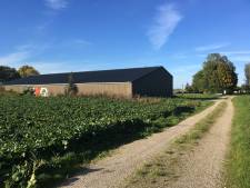 Gezamenlijke boerderij in Park Lingezegen start komend voorjaar: ‘Maar verwacht niet gelijk volle tassen met groenten’