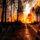 Zuid-Europa ziet tienduizenden hectare bos in vlammen opgaan, einde branden niet in zicht