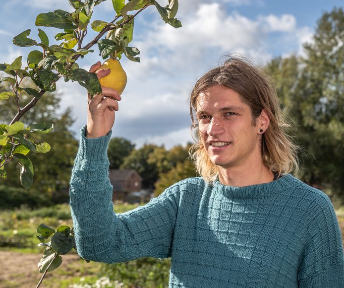Foto ter illustratie: op steeds meer plekken in Nederland komen er voedselbossen.