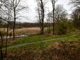 Het Grote Meer is de laatste jaren zo goed als compleet dichtgegroeid met grassen, riet en waterplanten.