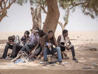Tientallen migranten achtergelaten en beroofd in Sahara