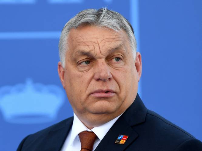 Europees Parlement beschouwt Hongarije niet langer als een democratie