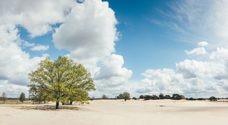 Van stuifduinen tot schattige dorpjes, tijdens een wandeling over het Stellingenpad kom je door veel verschillende omgevingen. Beeld Getty Images