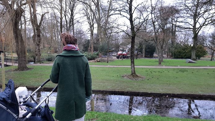 Opruimwerkzaamheden in Park Merwestein, dat ruim een week gesloten is. Bij de storm vielen diverse bomen om en bij het hertenkamp dreigt nog een boom om te vallen.