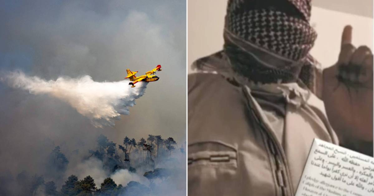 Sospetto IS di 17 anni arrestato per aver pianificato un attacco di incendio boschivo |  All’estero