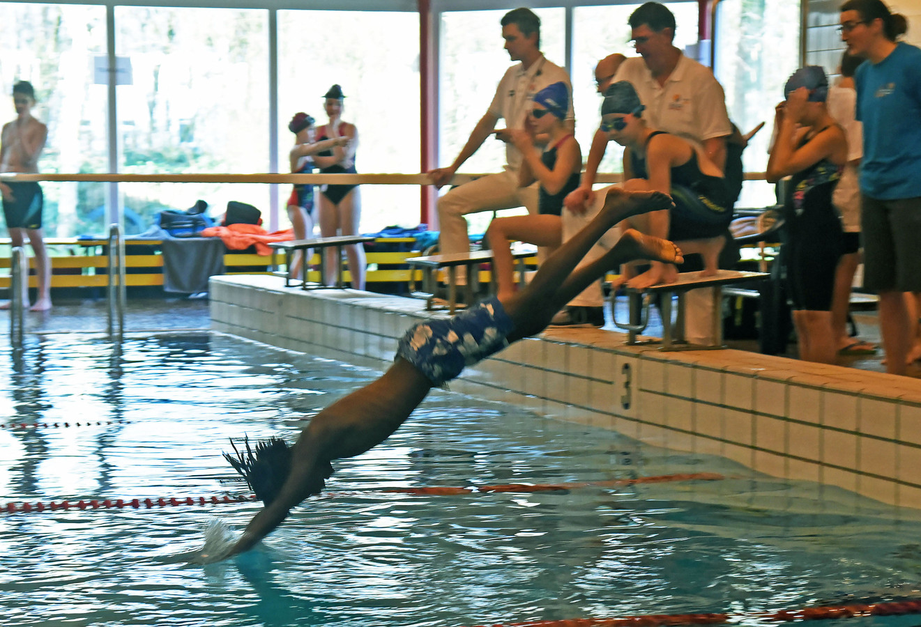 Henry Meijers duikt het water in, tijdens het schoolzwemkampioenschap dat zaterdag in zwembad Reyaertland werd gehouden.