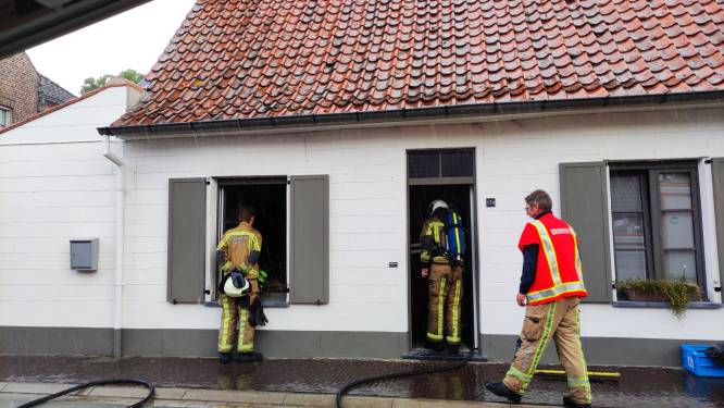 Twee katten overleven keukenbrand niet: “Rookmelder verwittigde de buren”
