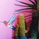 Op de Design Week in Milaan mag het weer: felle kleuren en veel champagne