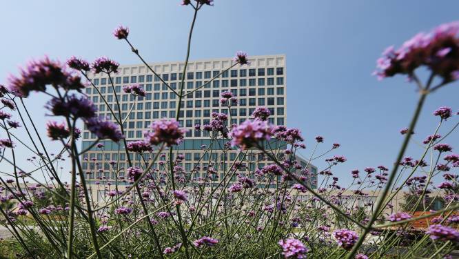 Seks met 15-jarig meisje leidt tot taakstraf voor Rijsbergse werkgever (41)
