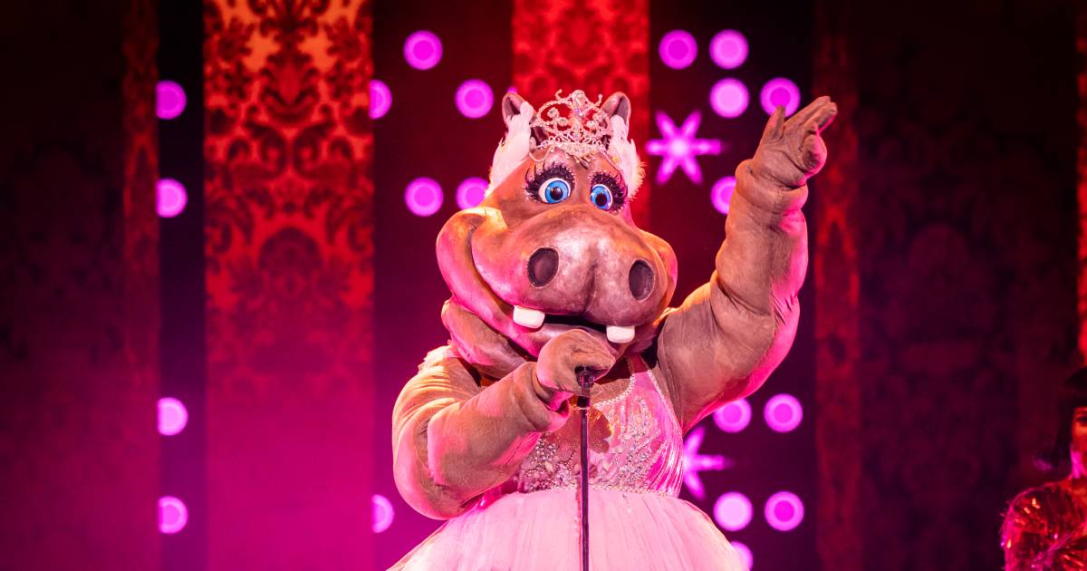 Hippo Must Leave The Masked Singer: Who is hiding behind the mask of a funny ballerina?  |  Instagram VTM News