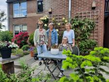 Deze dames fleurden hun tuinen in Apeldoorn op: 'We kregen complimenten van de postbode'