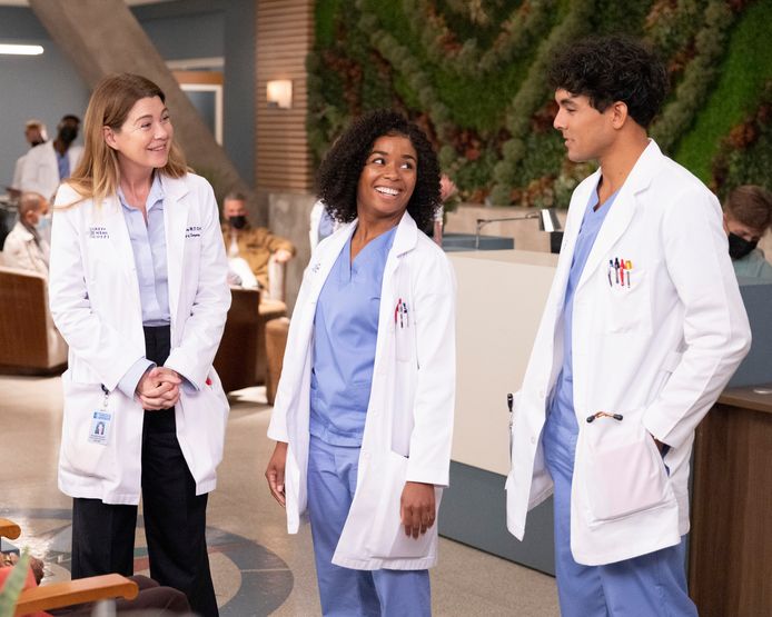 Ellen Pompeo, Alexis Floyd en Niko Terho in 'Grey's Anatomy'