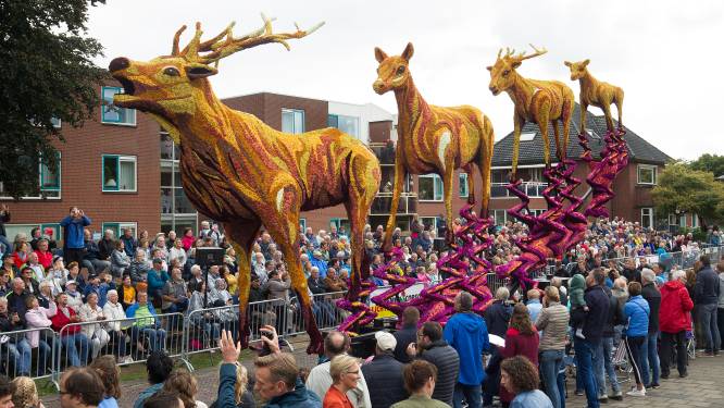 Geen Bloemencorso Lichtenvoorde door corona: ‘De enige juiste beslissing’