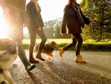Die ergernis over mensenpoep in de vrije natuur kan best een toontje lager, want wat deed je daar met je hond?