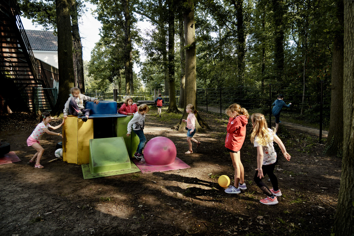 Basisschool De Knipoog in Vorselaar heeft zijn betonnen speelplaats vervangen door een zachte ondergrond van hakselhout. Ook een deel van het achterliggend bos hoort bij het speelplein.  Beeld Eric de Mildt