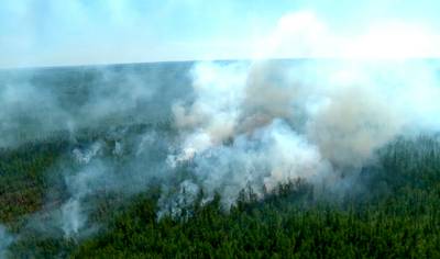 Duizenden mensen in de weer tegen bosbranden in Rusland
