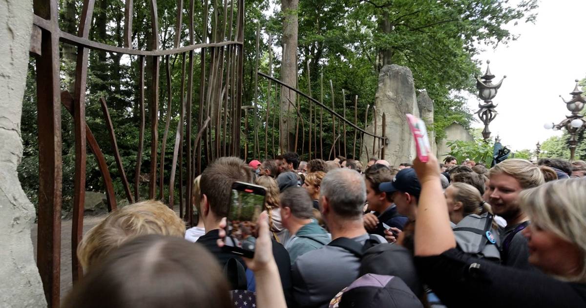 Stormloop op Spookslotboek en speldje van de Efteling - Eindhovens Dagblad
