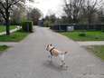 Fel protest tegen plannen bouw van 60 woningen in Park Schothorst