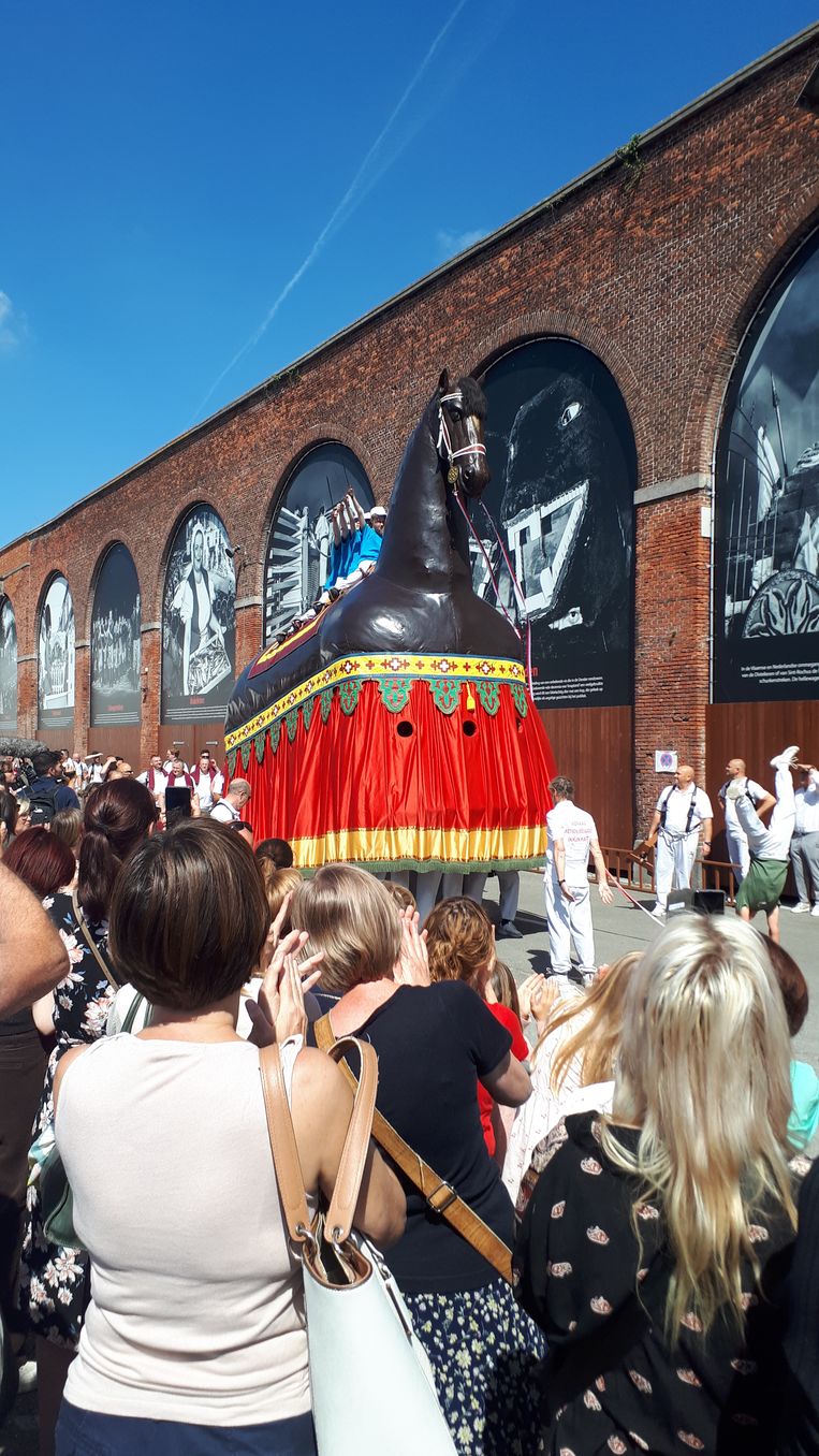 Het Ros Beiaard, de Pijnders en de Vier Heemskinderen repeteren voor de ommegang in Dendermonde.  Beeld RV