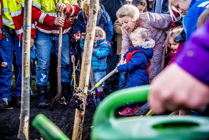 Prinses Beatrix plant een koningslinde in het Utrechtse Griftpark. De boom is aan de prinses aangeboden door ‘In Vrijheid Verbonden’, een netwerk van religies en levensbeschouwingen. Foto Robin Utrecht