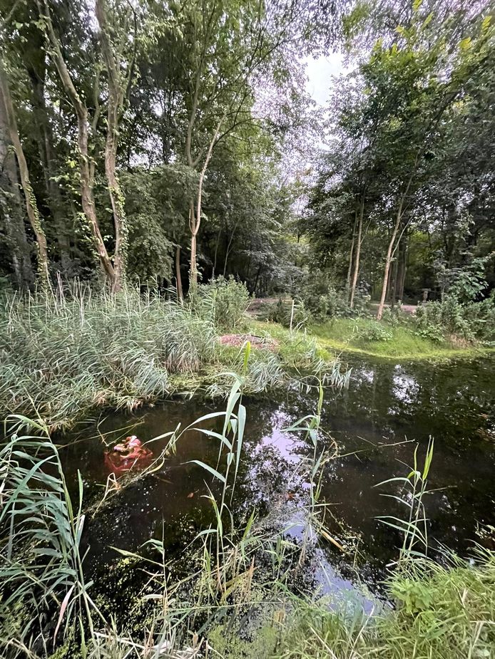 De sokkel van het beeld, ligt nog in de sloot. Het beeld zelf is eruit gehaald en meegenomen.