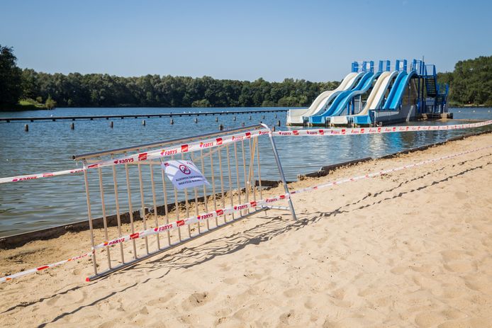 Stad Zoekt Preventieve Oplossing Tegen Blauwalg In Blaarmeersen Gent Pzc Nl