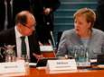 Merkel tikt haar landbouwminister op de vingers omdat hij instemde met verlenging glyfosaatvergunning