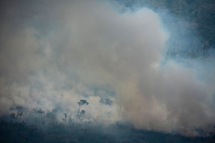 Volgens Greenpeace stevenen we af op een nieuw recordjaar voor ontbossing en branden in het Braziliaanse Amazonewoud.