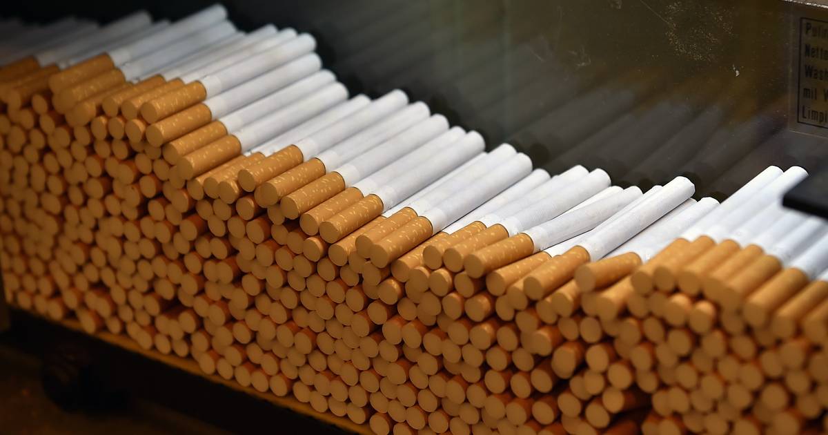 Ruim 41.000 kilo illegale tabak in Casteren; Bulgaar moet half jaar de cel in