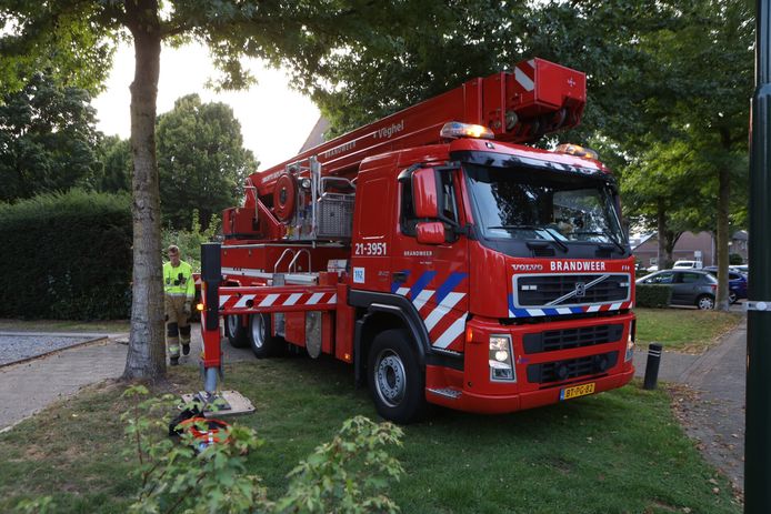 De brandweer schoot met een hoogwerker te hulp om de ara uit de boom te bevrijden.