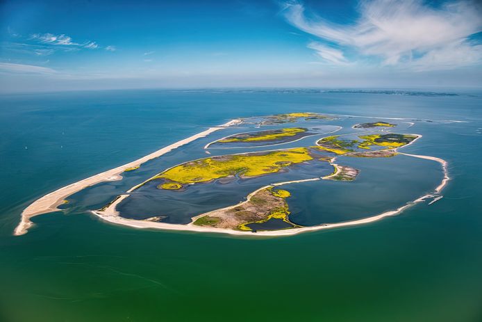 Kleurenpracht op de Marker Wadden.