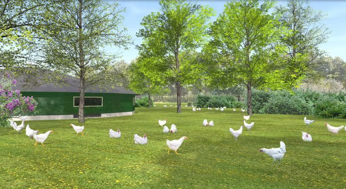 Sfeertekening van een stal met uitloop van KemperKip.