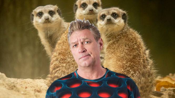 Jan, het zou je sieren als je kapt met deze dieren