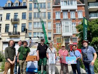 750ste nestkastje voor gierzwaluwen in Leuven