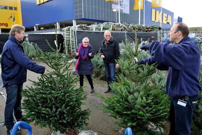 Dinkarville Handschrift Zichzelf Ikea Breda geeft kerstbomen gratis weg nu sluiting dreigt | Breda |  bndestem.nl
