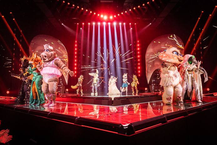 Masked Singer: Raven, Mrs. Foxy, Hippopotamus, Wolf, Rabbit, Queen, Miss Cat, Knight, Mushroom and Wizard