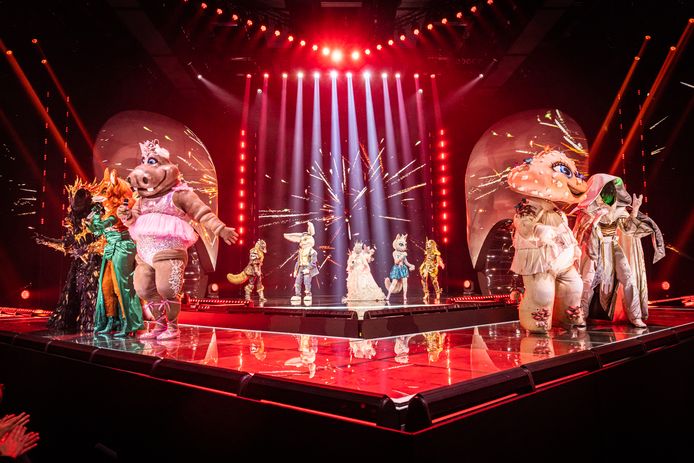 The Masked Singer: Raaf, Foxy Lady, Hippo, Wolf, Konijn, Koningin, Miss Poes, Ridder, Champignon & Tovenaar