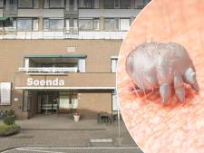 Schurft duikt op in Rotterdamse regio, en er zijn geen pillen om er wat aan te doen