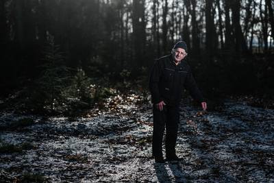 Wéér tientallen jonge beukjes uit de grond gejat bij Het Jagershuis: ‘Elke planter nieuwe haag is ve