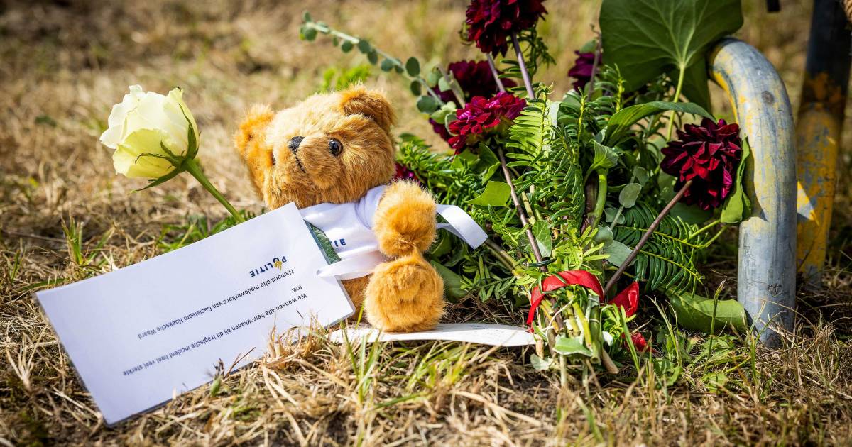 Twee leerlingen van CSG Willem van Oranje verliezen vader door drama Zuidzijde - BN DeStem