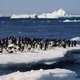 Poolexpeditie onderzoekt impact global warming op biodiversiteit