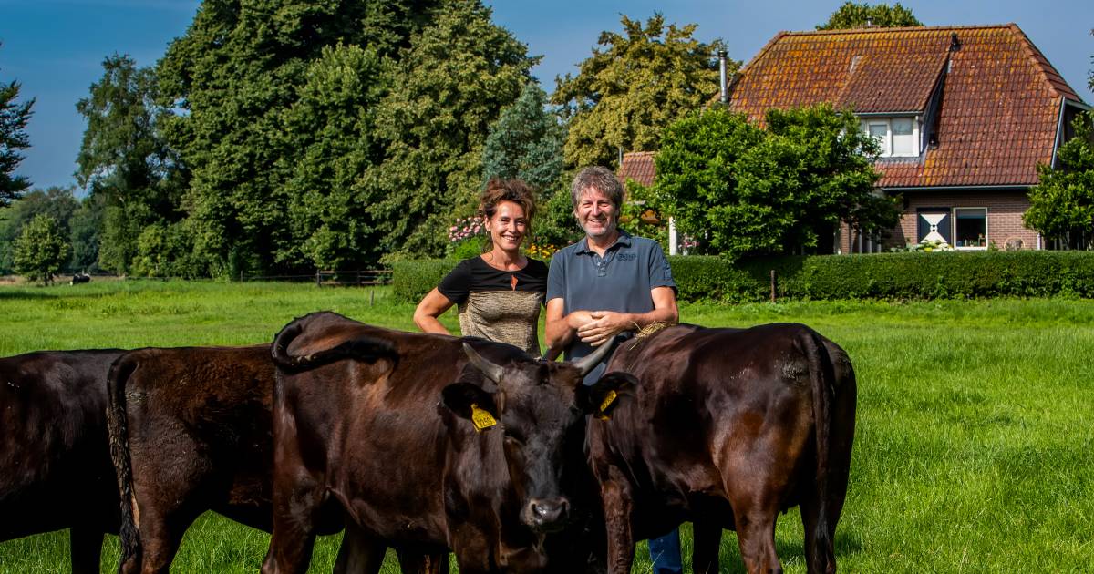 Bijzonder ‘landgoed’ in Elshof als nieuwe manier om boerderij door te geven en wat terug te doen voo