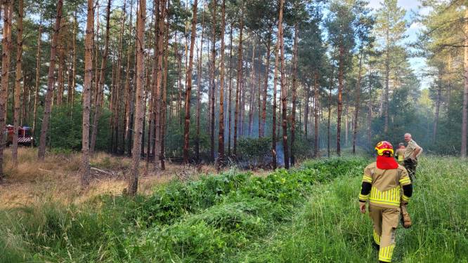 Voorbijganger ziet vlammen in bosrijk gebied; brandweer bestrijdt vuur met speciaal voertuig